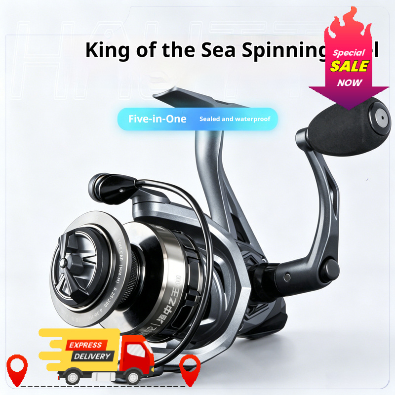 Sea Spinning Reel 5-Layer Seaw - Surf Reel recensione e prezzo